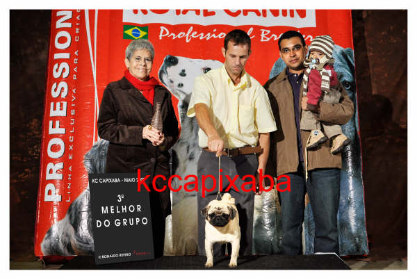 Clique sobre a foto para fechar